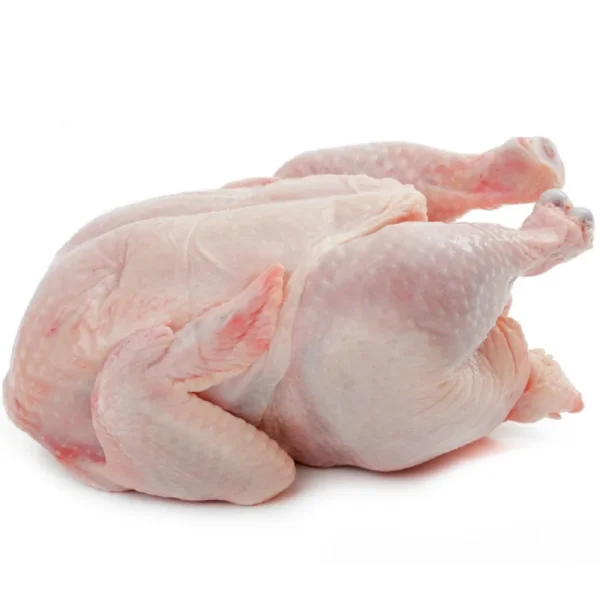 High Quality Halal Frozen Whole Chicken From Brazilian Wholesale Frozen Chicken