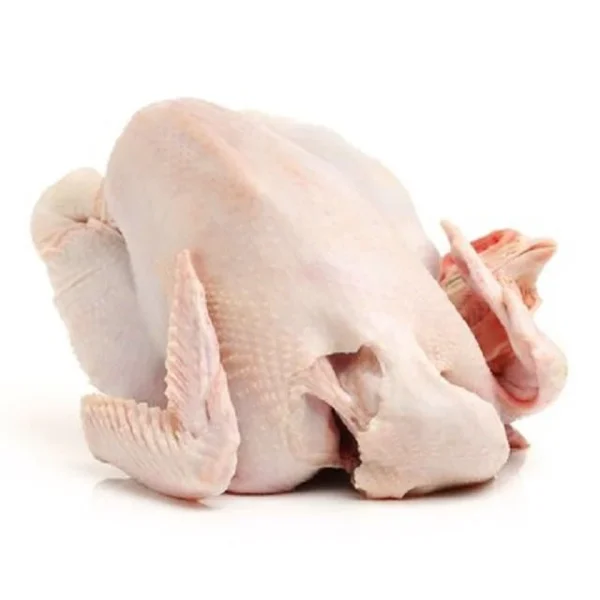 High Quality Halal Frozen Whole Chicken From Brazilian Wholesale Frozen Chicken - Image 2