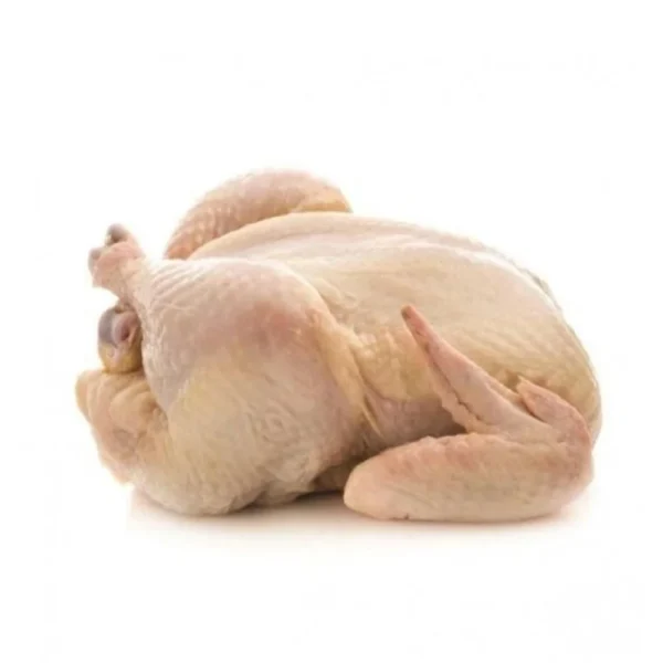 High Quality Halal Frozen Whole Chicken From Brazilian Wholesale Frozen Chicken - Image 3