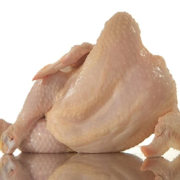 High Quality Halal Frozen Whole Chicken From Brazilian Wholesale Frozen Chicken - Image 4